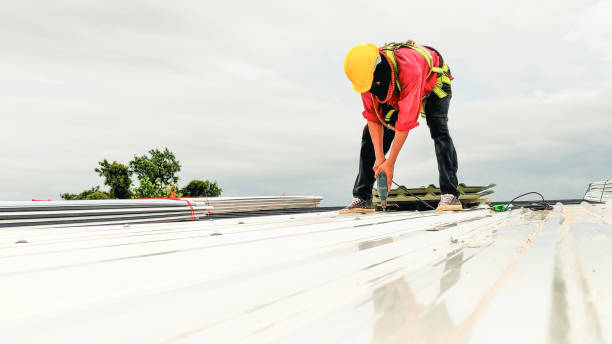Best Commercial Roofing Services  in La Grulla, TX
